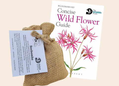 Wildflower kit
