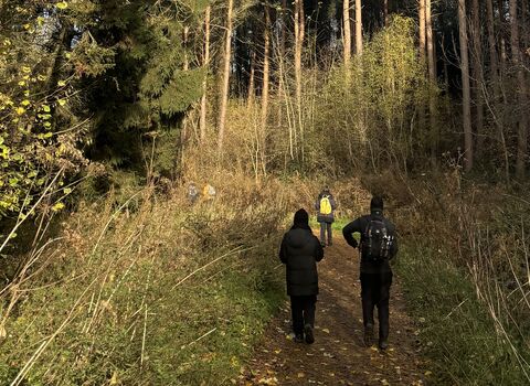 people walking through a woodland in autumnal sunshine