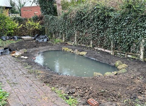A pond in a back garden with a hedge on one side