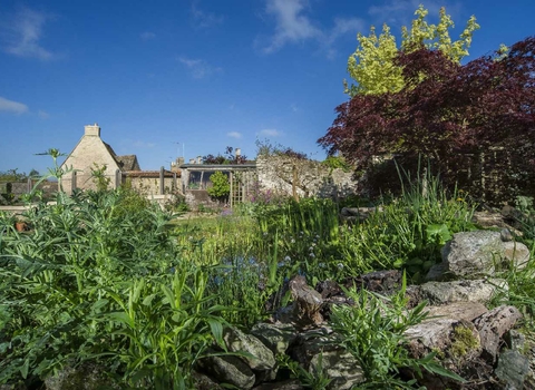 Garden pond