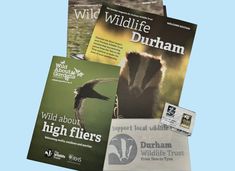 Membership pack with blue background