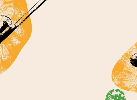 Stylised illustration featuring a bird perched on a diagonal branch on the left and a badger’s head on the right. Both animals are drawn in textured black ink against orange abstract shapes with faint leaf patterns. Green and orange geometric dots are scattered across a light beige background, creating a lively, nature-inspired composition.