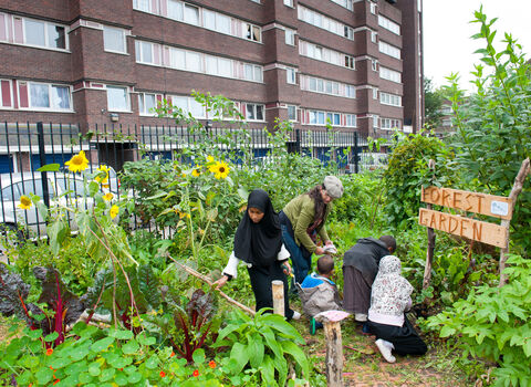 A group of adults and children in a community garden opposite a block of flats. The sign reads 'Forest Garden' and there are bushes and sunflowers, amongst other plants