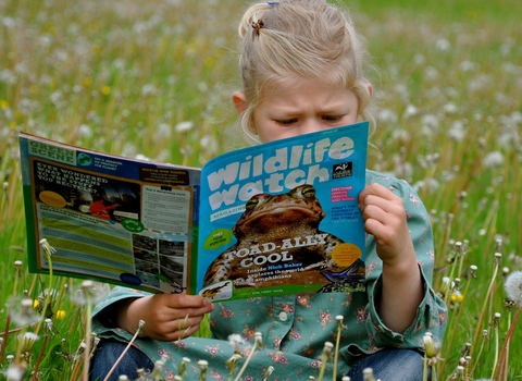 Girl reading Wildlife Watch