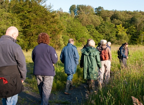 A group of people walking through wildflowers