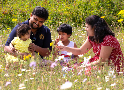 Picnic in wildflower meadow