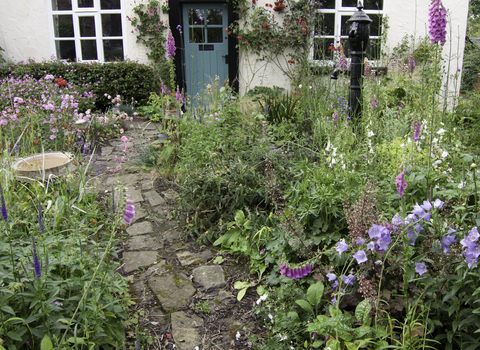 a cottage garden 